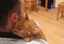 Cat gives his human a big hug 