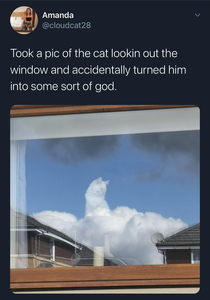 Cat god