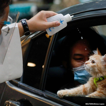 Cat-holic