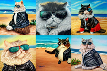 Cat in a leather jacket and sunglasses on the beach 