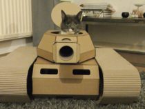 Cat in a tank
