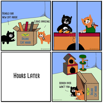 Cat logic 