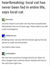 Cat Owners Know Whats Up 