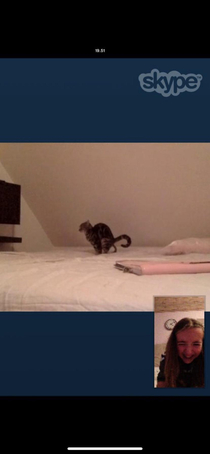 Cat pissed in the bed went out to get new sheets and my friend catches this while Im away