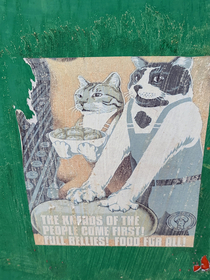 Cat propaganda I bet they work long shifts at the biscuit factory