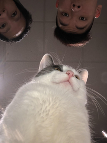 cat selfie with his human