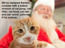 Cat Trolls Santa