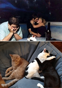 Cat version of forever alone