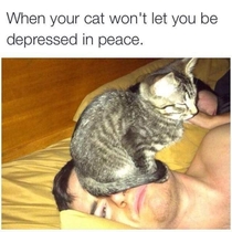 Cat wont let you be Depressed