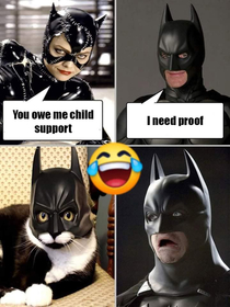 Catbat na na na na