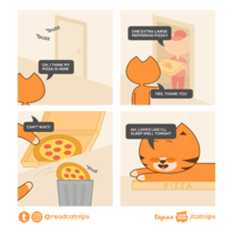 Catnips Pizza Box