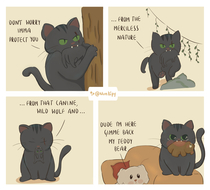 cats and their imagination