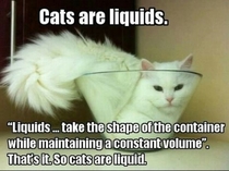 Cats Are Liquid