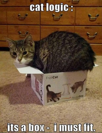 Cats are Logistic