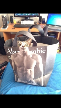 Cats been hitting the gym lately credit to uBasedOnAir