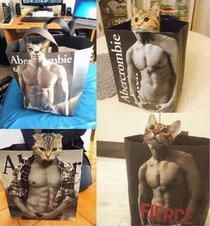 Cats that worked out and got ripped during quarantine