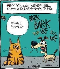 Cats vs Dogs