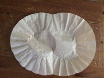 Caught a coffee filter in the middle of mitosis