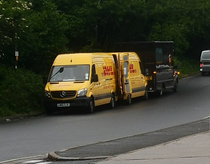 Caught a DHL mating ritual today