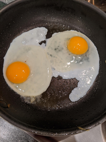 Caught my eggs in a compromising position