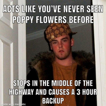 Caveating off the other poppy post with these idiot drivers who stop on the highway to take photos Fuck you Causing multi hour backups every-single-day