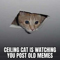 Ceiling Cat likes it