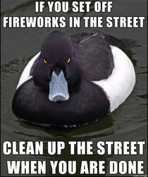 Celebrate Freedom by leaving trash all over the street