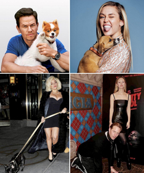 Celebrities and their pets are so adorable