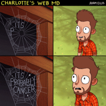 Charlottes Web MD 