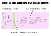 Chart to help determine your risk of a bear attack