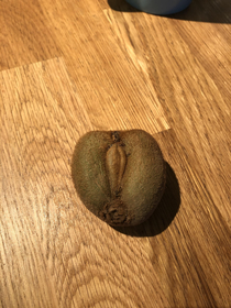 Check out this kiwi I picked up at the farmers market