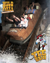 Checking photos from our holiday on the Gold Coast and I discovered that my girlfriend and I had clearly not been on this ride as many times as the family we rode with