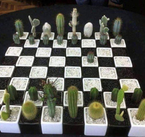 Chess level master