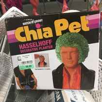 Chia Pet found at Goodwill