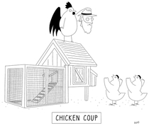 Chicken Coup