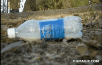 Chlorine and alcohol in a water bottle