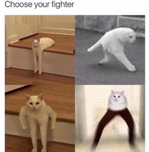 Choose your fighter