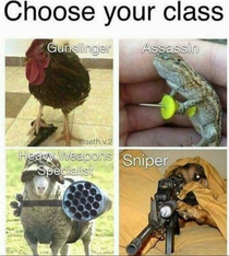 Choose your weapon