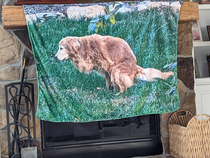 Christmas gift from my wife A photo blanket of our recently-departed dog 