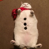 Christmas is coming snowman is here