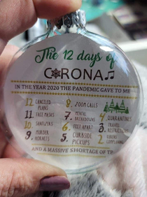 Christmas ornament anyone