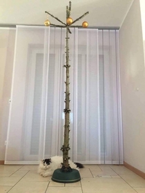 Christmas tree for cat owners