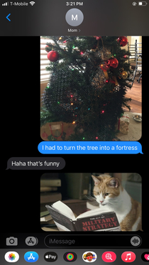 Christmas VS kitten
