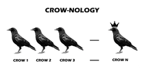 Chronology of crows