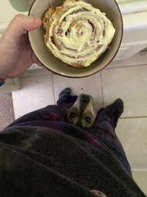 Cinnabon wanter