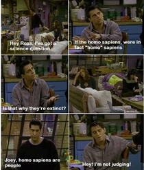 Classic Joey
