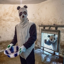 Clever thief uses disguise to break into a poor familys home to steal a priceless bowl while father looks on in rage and horror from inside an air vent