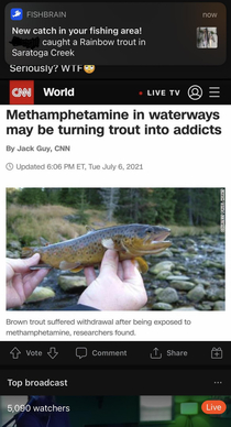 Click For Full Size-Wonder if he Caught a Meth Trout