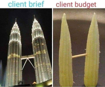 Client expectation vs client budget