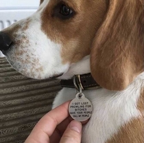 Collar tag WIN